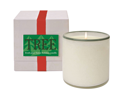 TreeCandleWeb