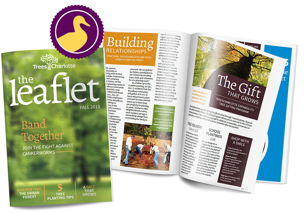 trees-charlotte-newsletter-outside Trees Charlotte Case Study