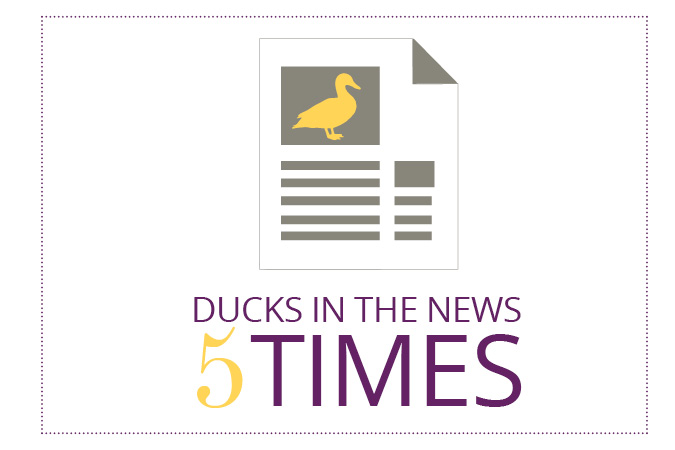 Yellow Duck Marketing In The News