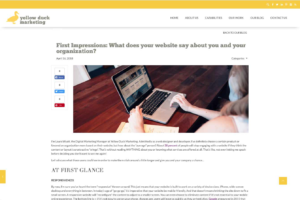 Digital Marketing and Social Media Management - Yellow Duck Marketing