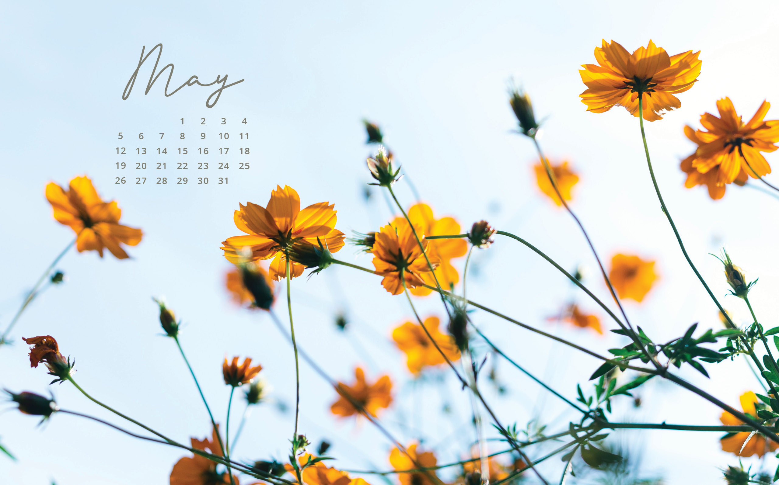 Free May 2023 Calendar Wallpaper