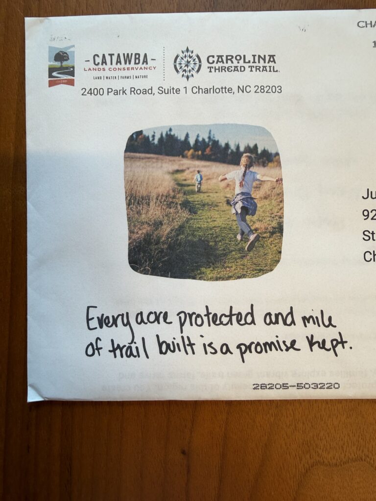 Thought leadership, Motion graphics, Testimonial videos, Diversity and inclusion, Creative innovation