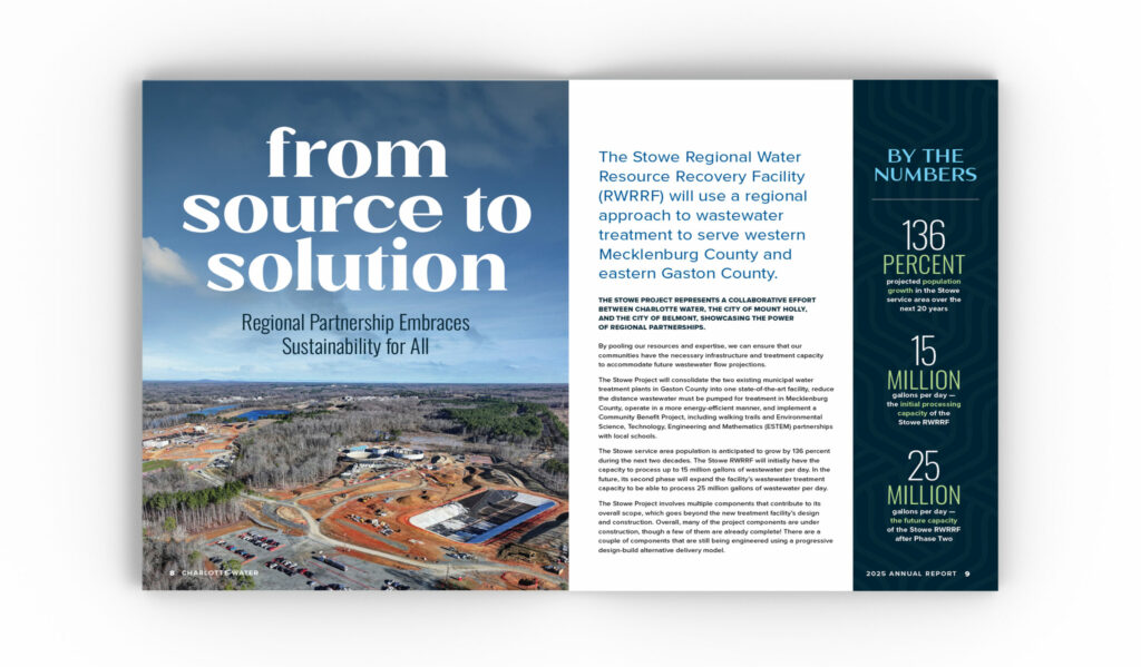 Brand identity, Community engagement, Animation services, Marketing funnels, Ethical marketing